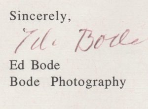 Wedding photographer